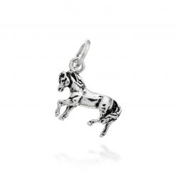 GIOVANNI RASPINI - CHARM - Cavallo